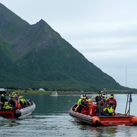 Leilighet Med Fantastisk Utsikt Henningsvær Kültér fotó